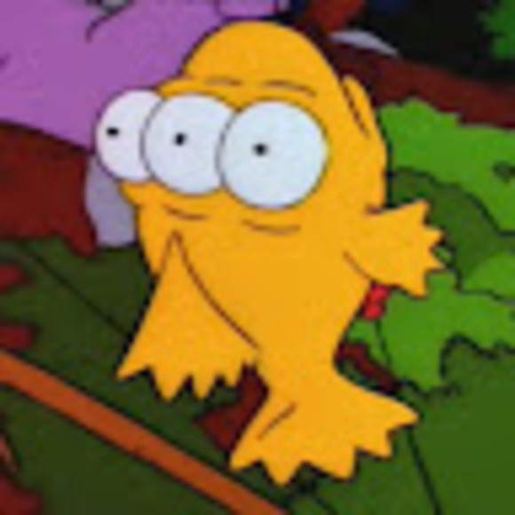 Meet your Posher, Alejandra - Picture 1 of 1